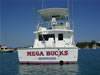 MegaBucks Transom